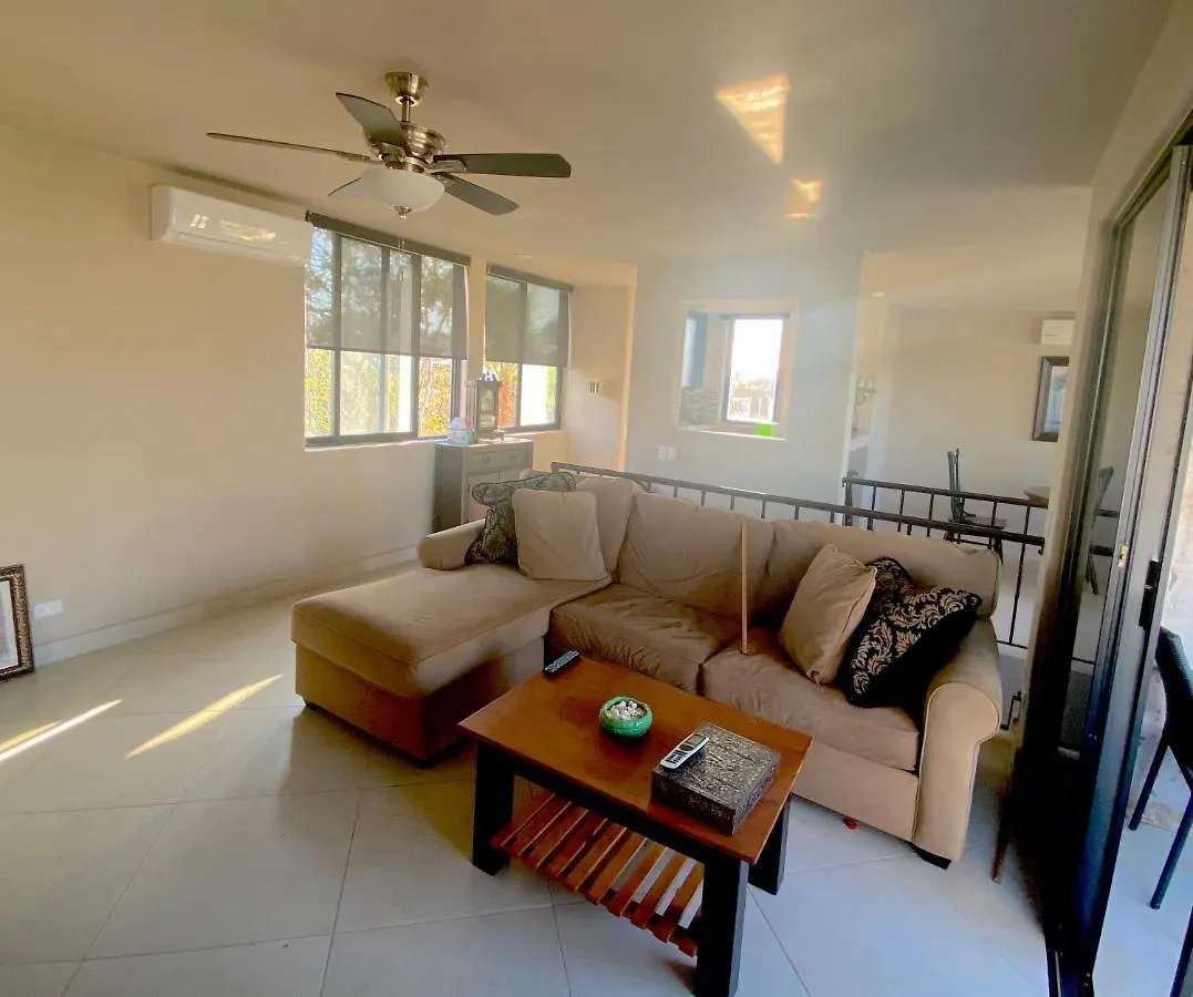 Spectacular Vacation Home Ocean View Walk To Beach Кабо-Сан-Лукас Мексика